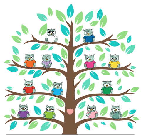 La famille de Hiboux en éveil